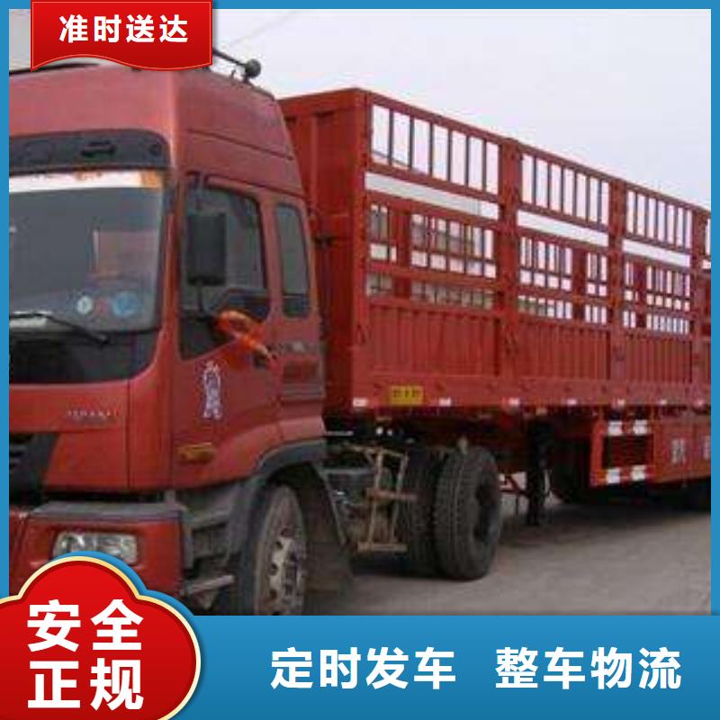 金州到西双版纳物流公司