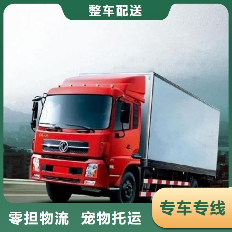 到竹山物流公司