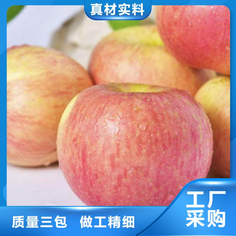 红富士苹果嘎啦苹果为您精心挑选