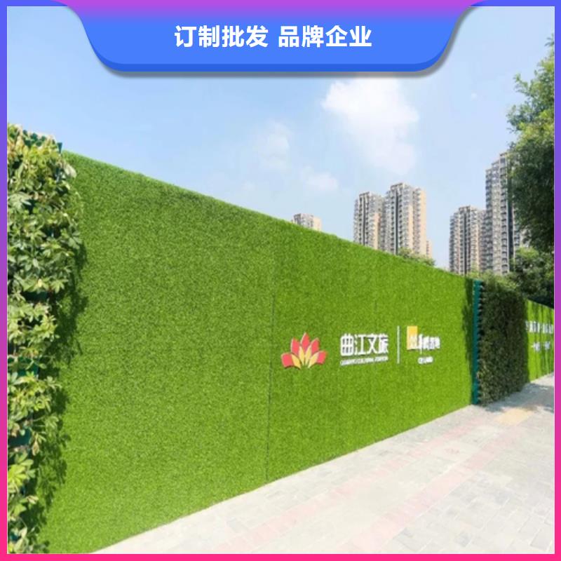 围挡草坪 人工草坪围挡多种规格库存充足