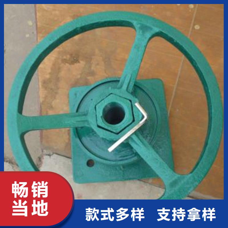 快速卷扬启闭机瑞鑫为您服务