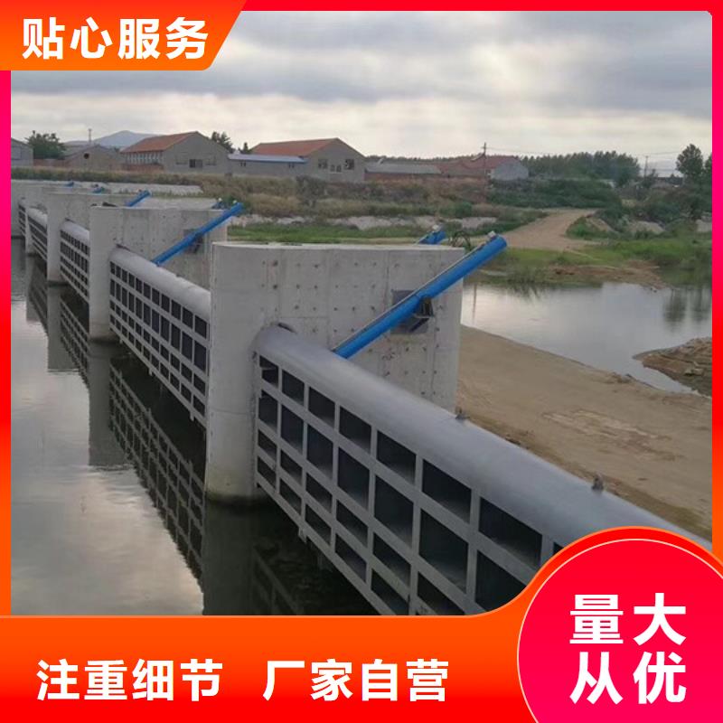 钢闸门 钢坝翻板闸门 质量好