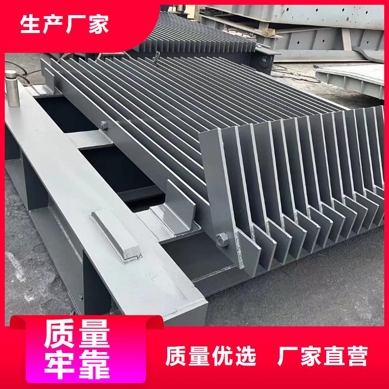 PXM平面定轮钢闸门