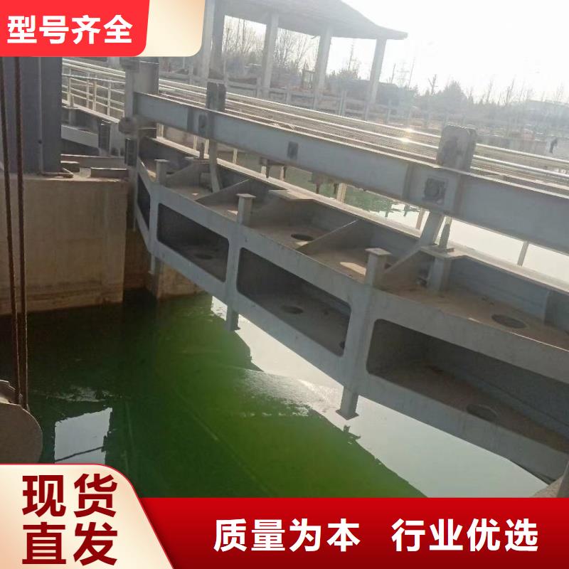 钢闸门 钢坝翻板闸门 品牌企业