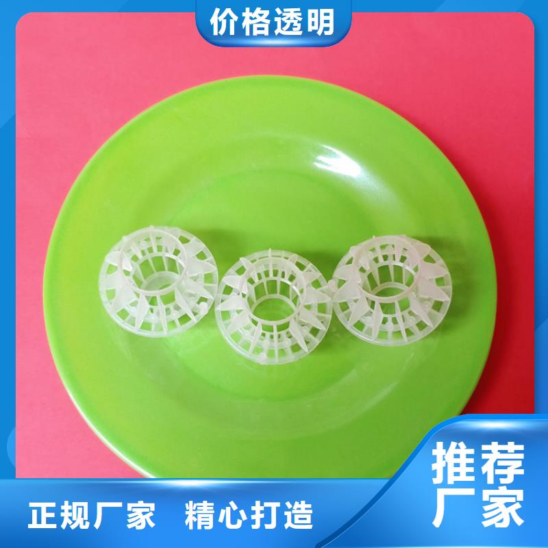 多面空心球无烟煤滤料工厂价格