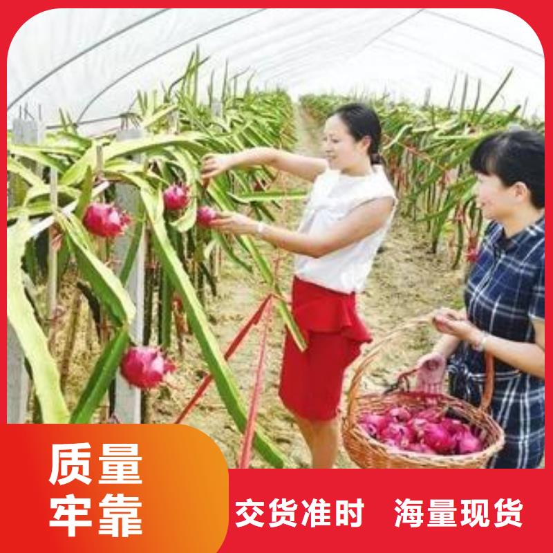 脚手架管厂家产品