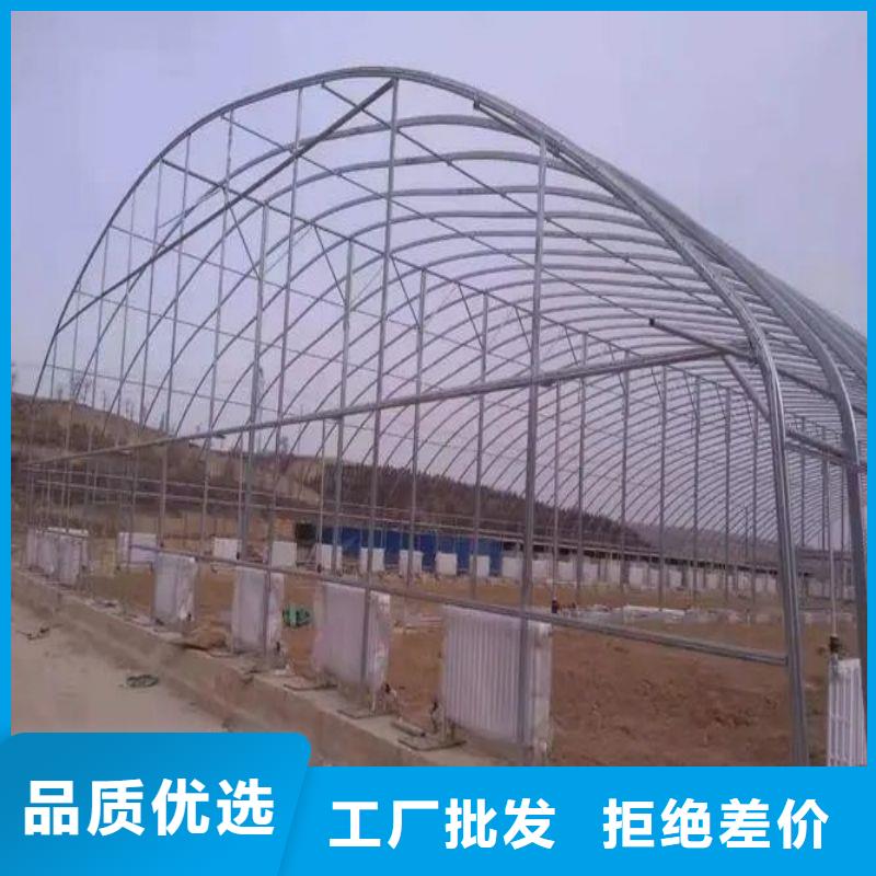 雄县4分柑橘大棚镀锌管泽沃品质无锡大棚管厂家供应处