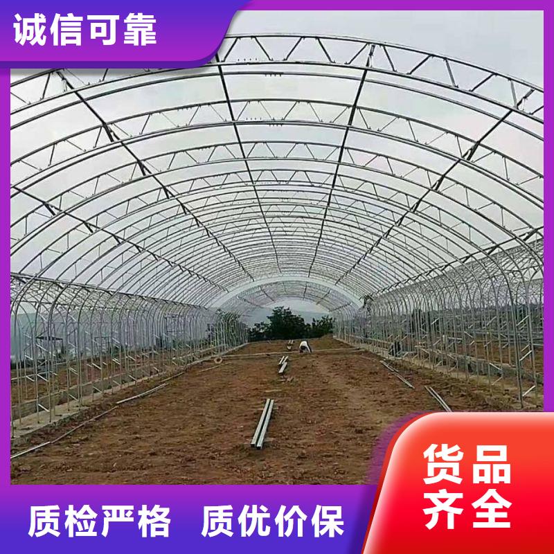 无锡连栋大棚采购价格2025