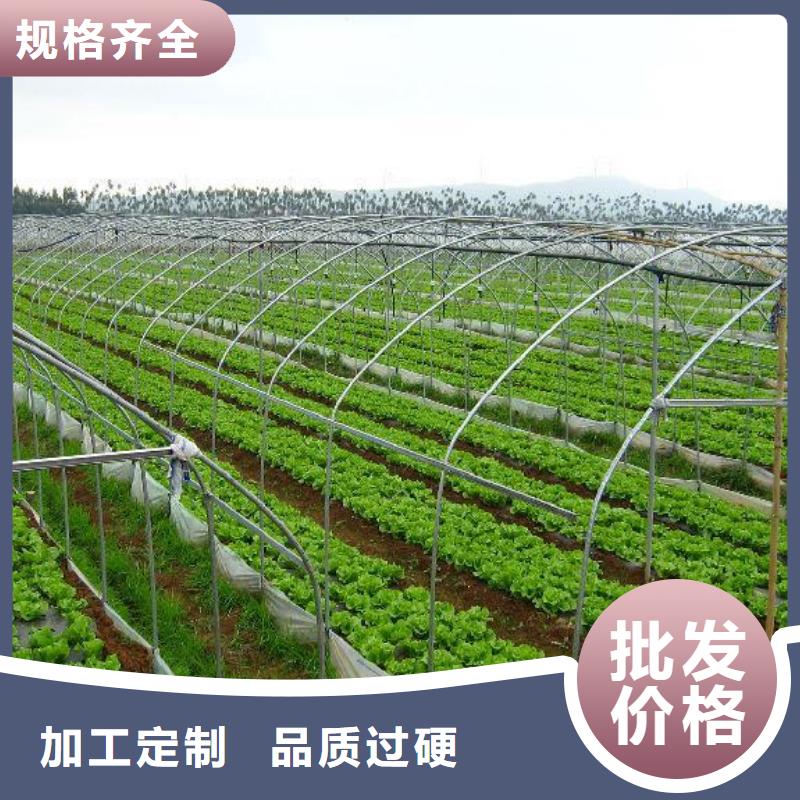 唐县黄瓜骨架钢管2025无忧购