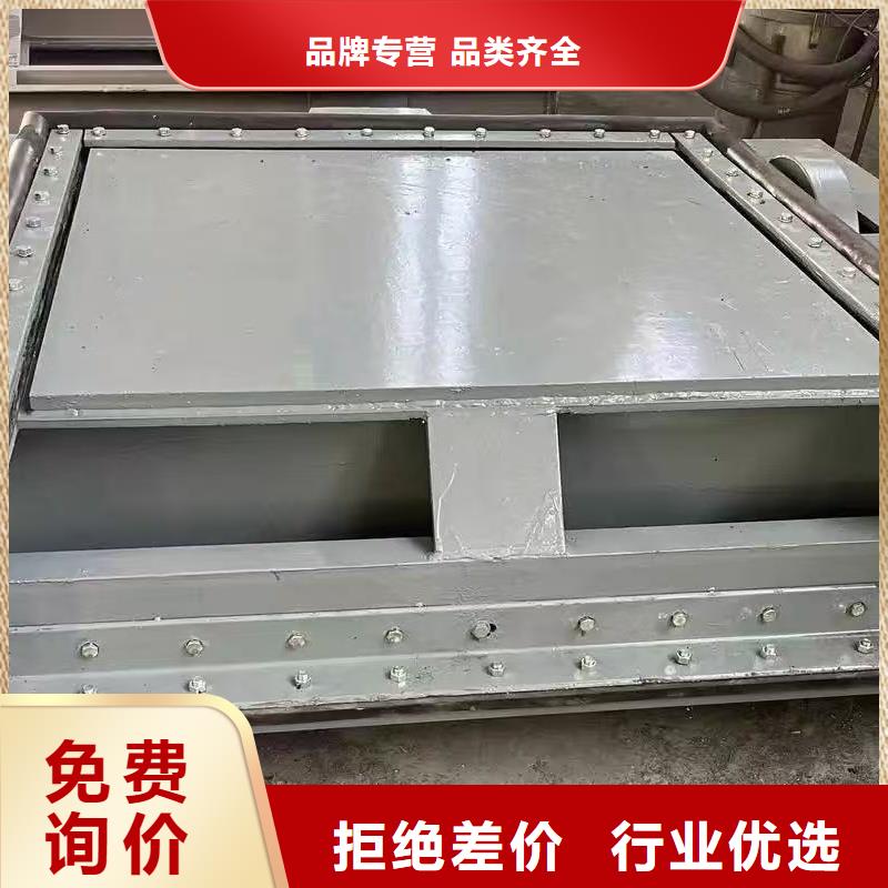 水闸门-水闸门欢迎您