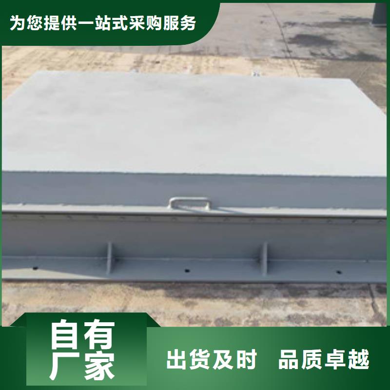 专业销售复合拍门-保质