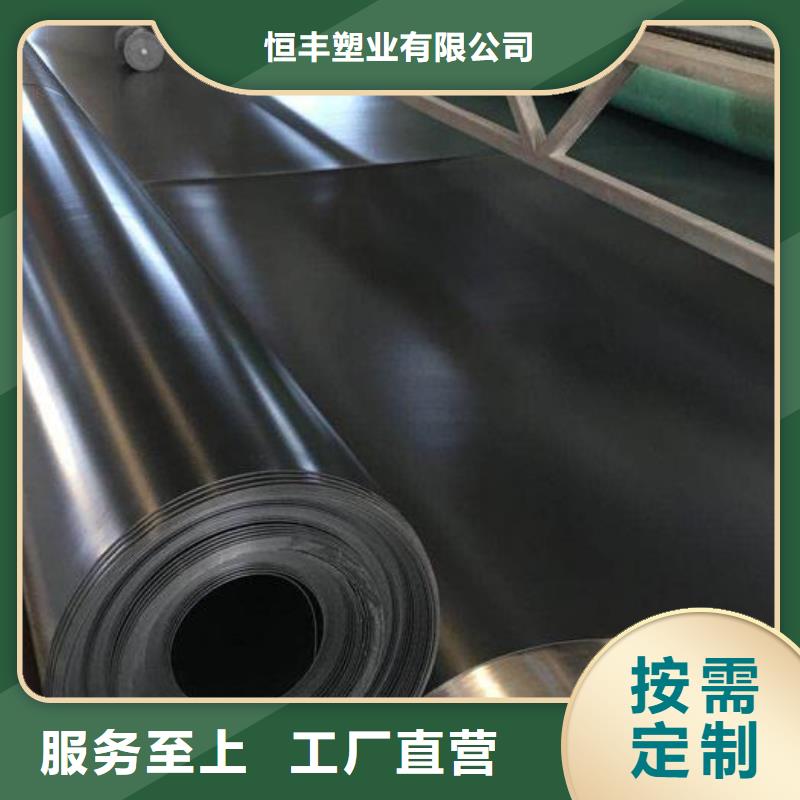 土工膜凸结点钢塑土工格栅支持大批量采购