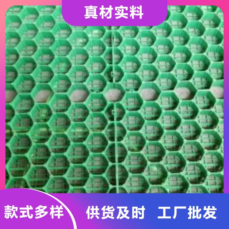 植草格土工HDPE膜设计合理