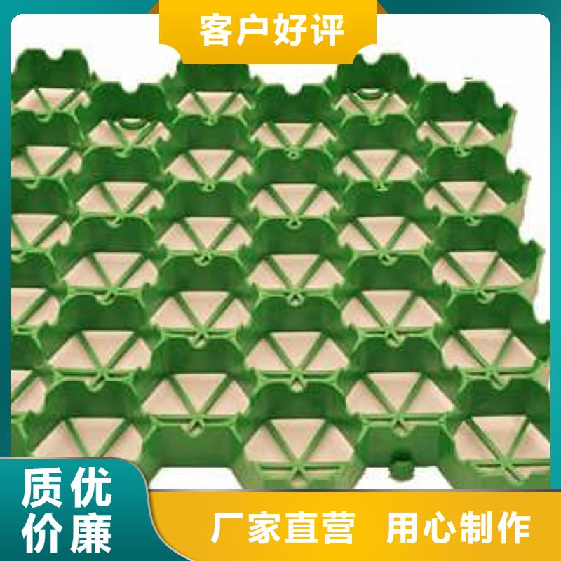 植草格TPO防水卷材保障产品质量