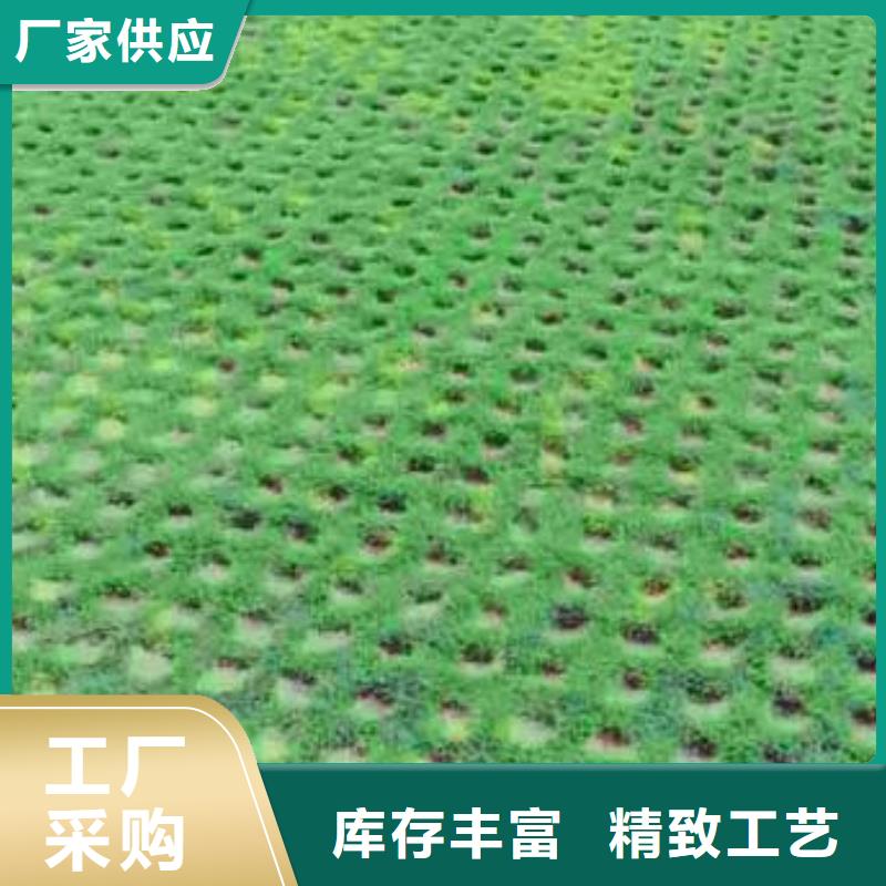植草格TPO防水卷材保障产品质量
