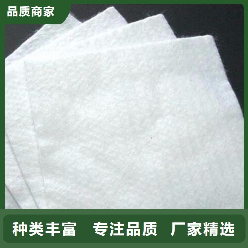 长丝土工布多少钱一平生产厂家