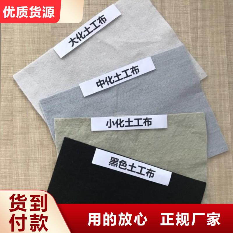 防渗土工布