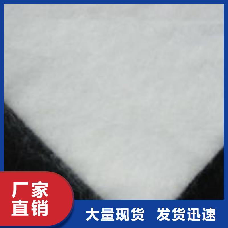 儋州市丙纶土工布生产厂家厂家直销