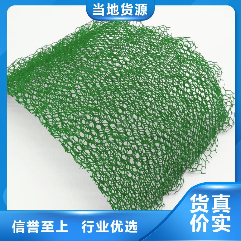 三维植草网生产厂家