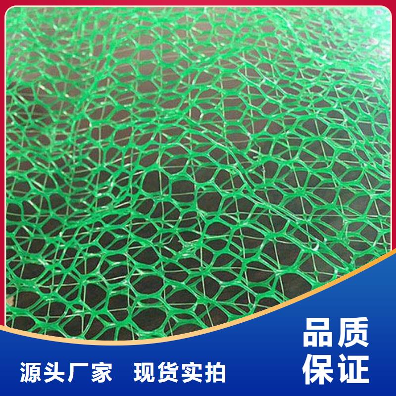 护坡三维网厂家三维植被网垫价格生产厂家
