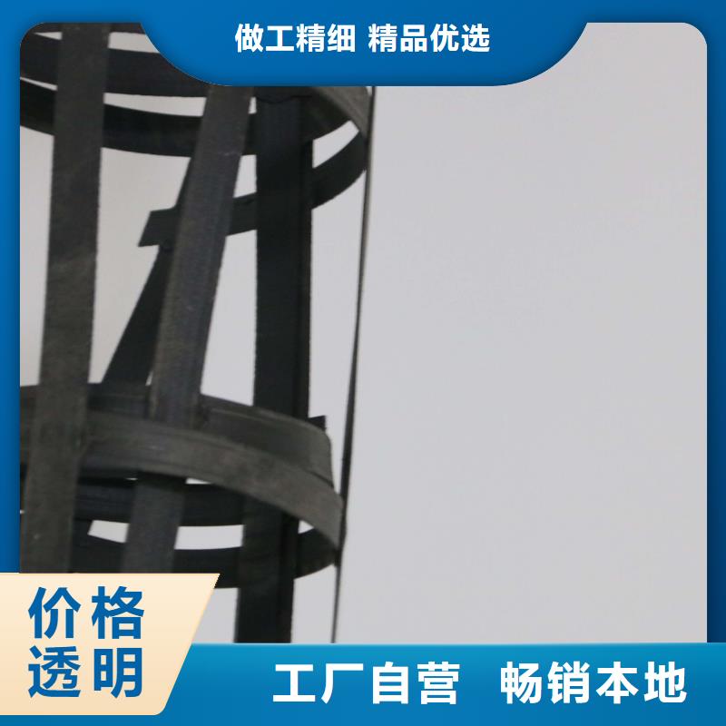 双向钢塑格栅厂家现货