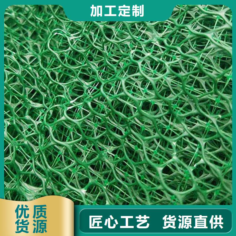 三维植被网植草护坡边坡防护