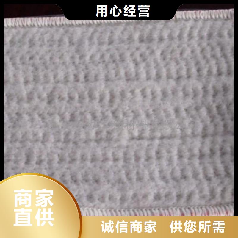 膨润土防水毯-复合土工膜一手价格