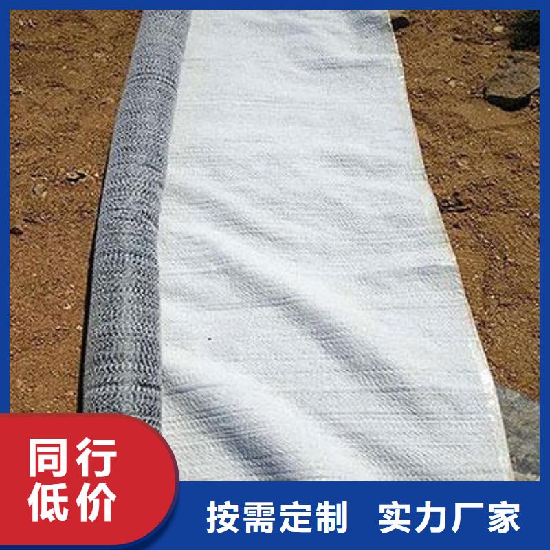 膨润土防水毯双向塑料土工格栅真材实料诚信经营