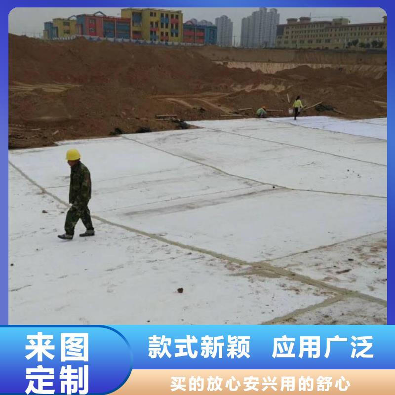 防水毯-单向塑料土工格栅品质无所畏惧