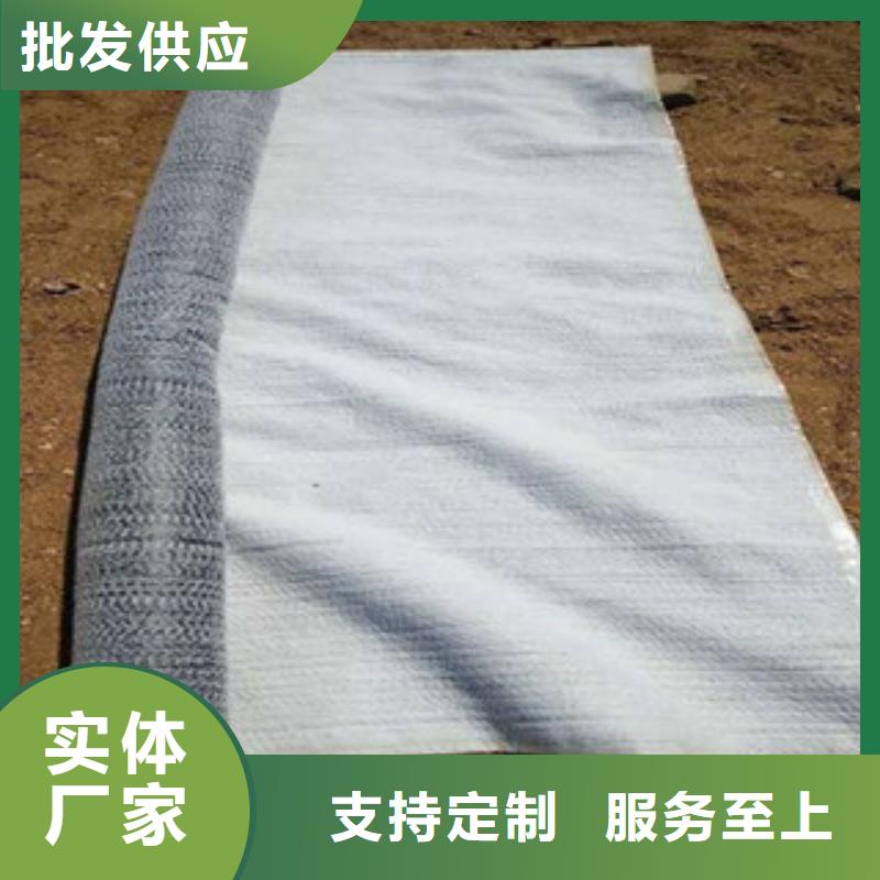 防水毯三维植被网厂家行业优选