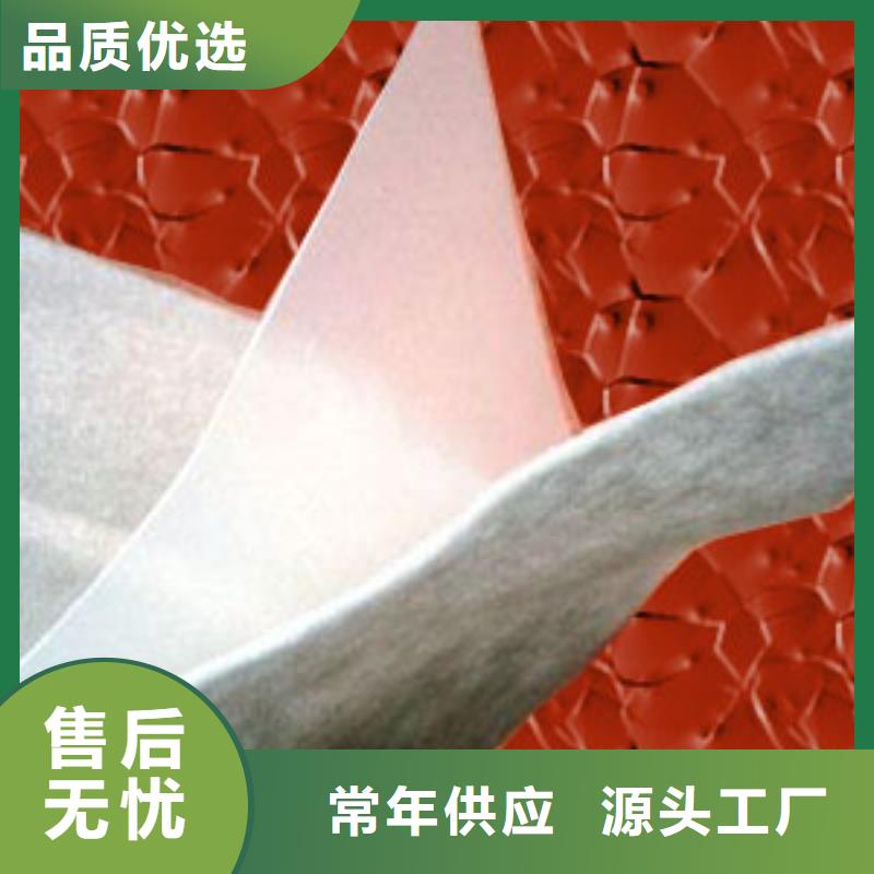土工膜-土工布-HDPE土工膜-防渗膜厂家