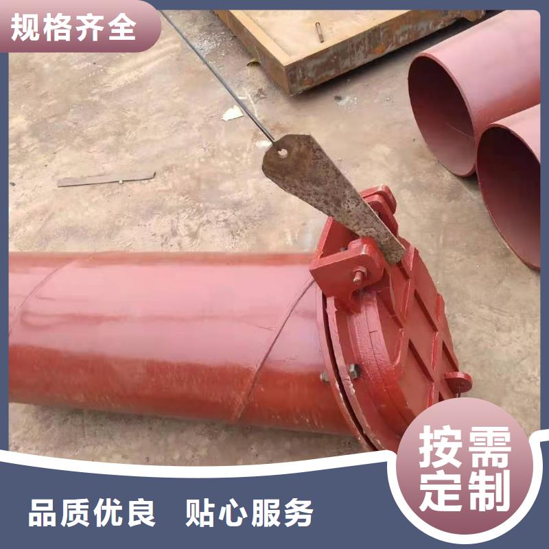 球墨铸铁闸门免费提供咨询