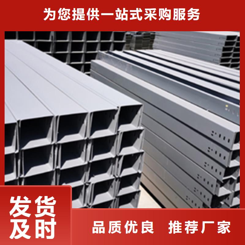 大跨距电缆桥架300*150厂家可定制生产 