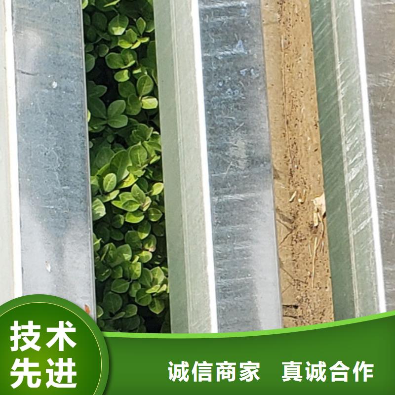 护栏道路隔离栏用的放心