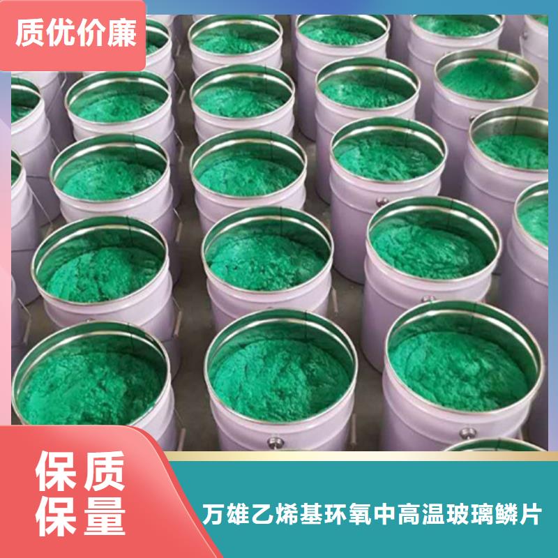 玻璃鳞片涂料 乙烯基玻璃鳞片胶泥老品牌厂家