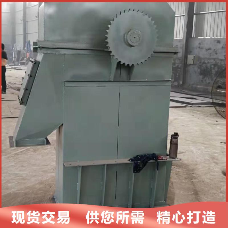 NE板链型斗式机昌江县质保一年