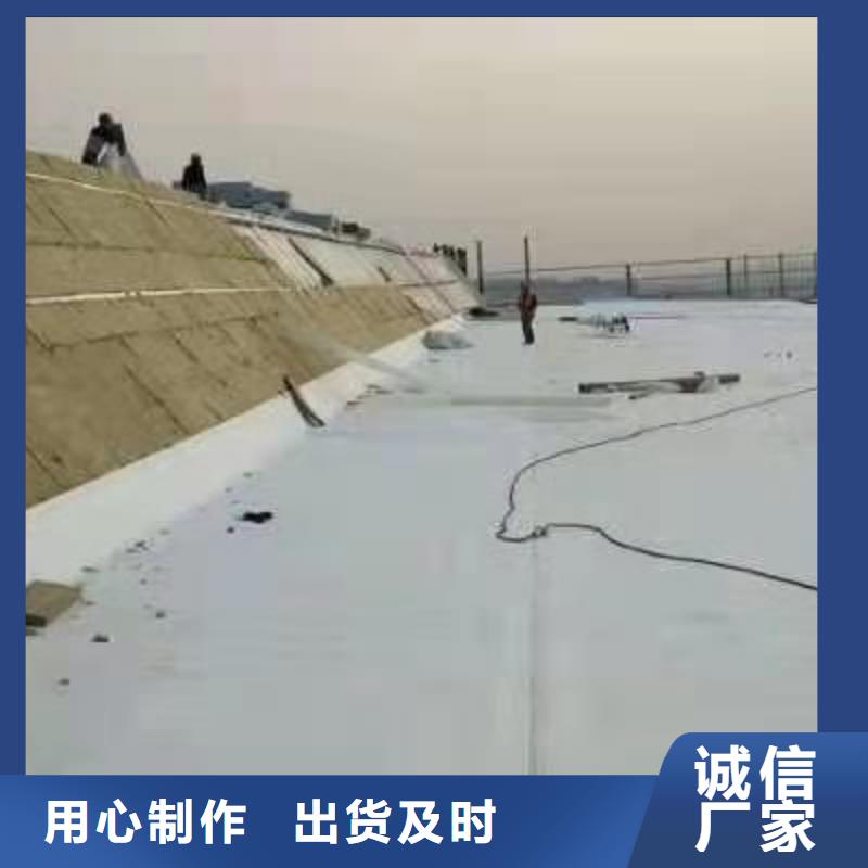 TPO,TPO防水卷材支持定制
