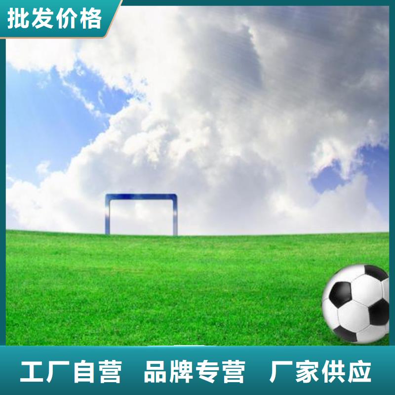 塑胶跑道采购