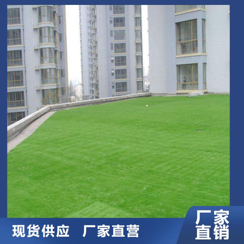 球场人造草坪口碑良好