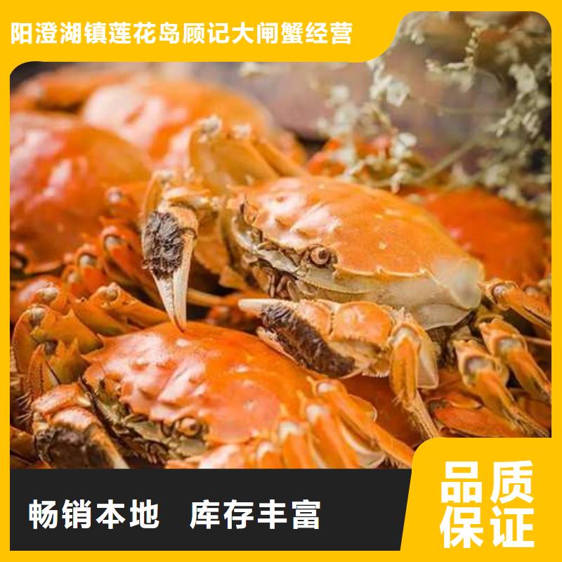 蟹-阳澄湖大闸蟹几月份吃种类多质量好