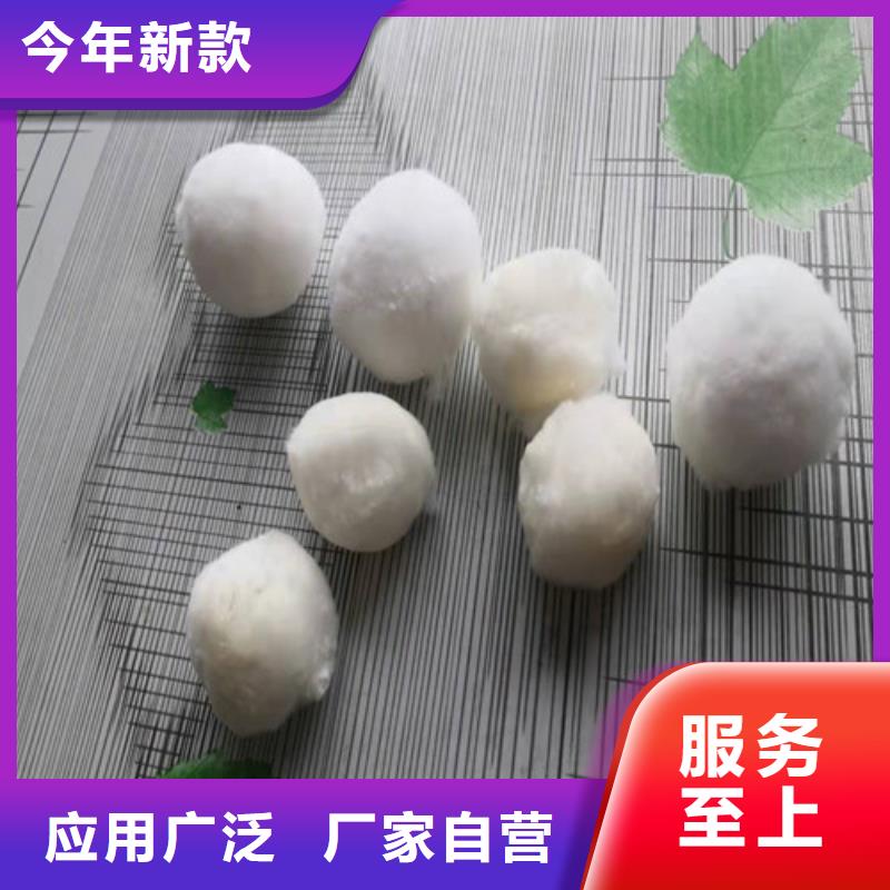 水处理填料【pam聚丙烯酰胺】畅销本地