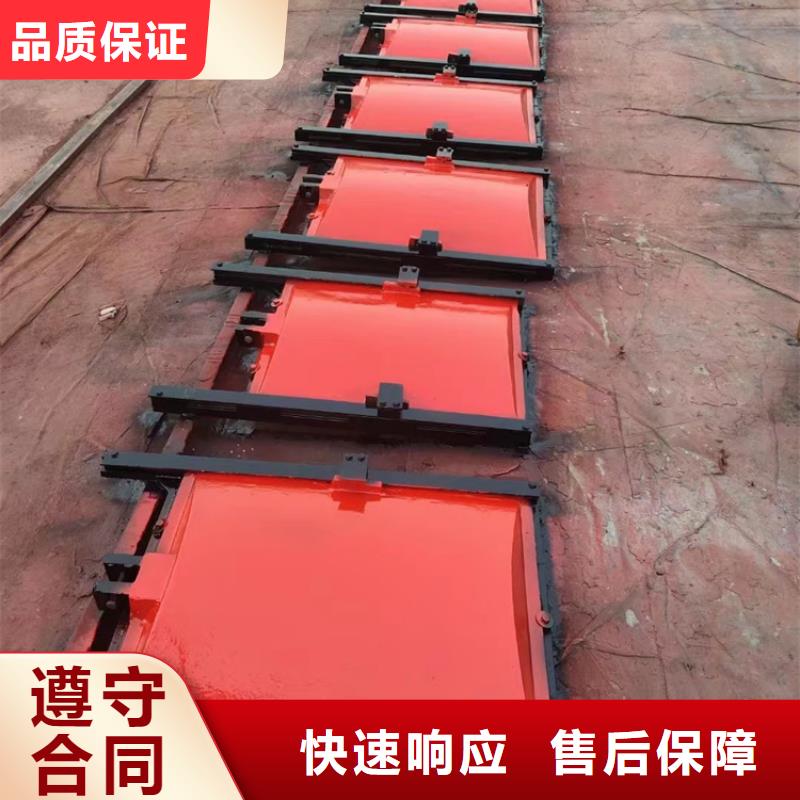 闸门启闭机深水铸铁闸门拥有多家成功案例