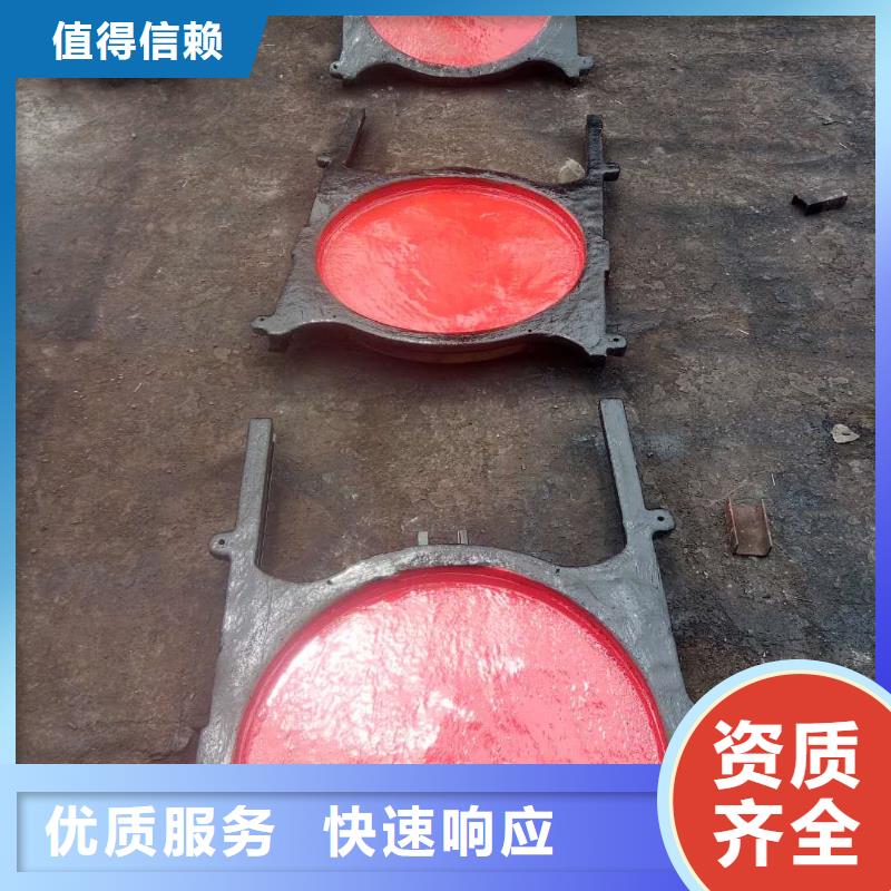 SFZ800*800双向止水铸铁闸门