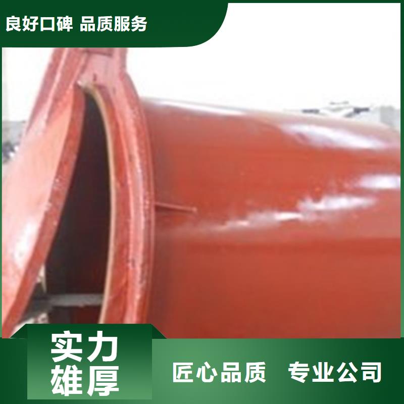 拍门-启闭机钢制拍门同行低价