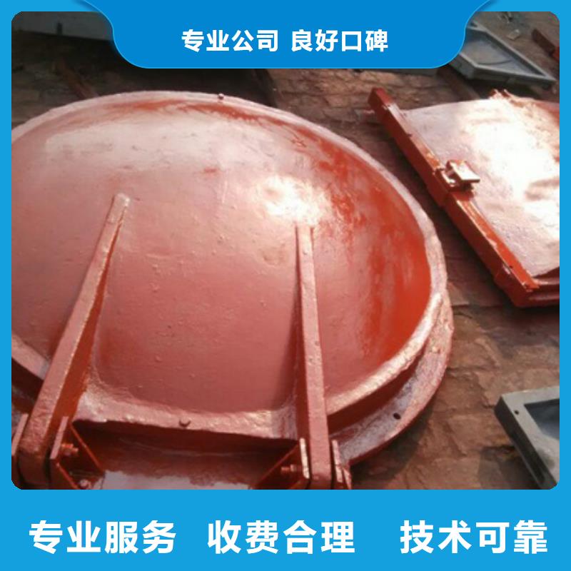 拍门浮箱拍门大型N年专注