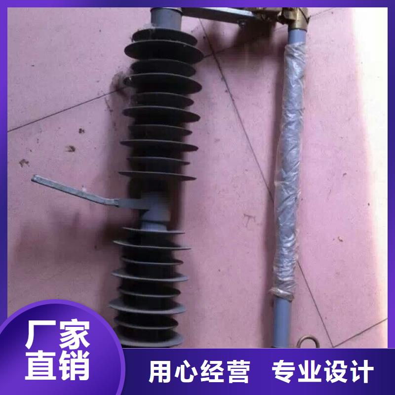 跌落式熔断器RW11-10-200A