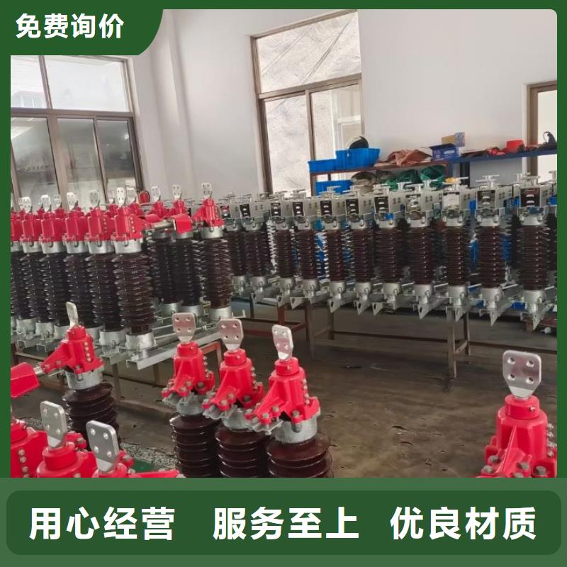 【避雷器】Y5WS-17/50FT