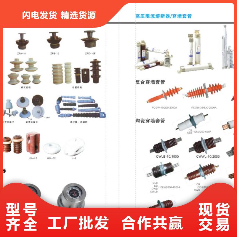 【避雷器】HY10WZ-108/281