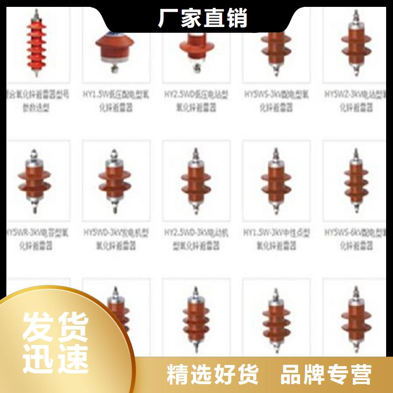 〖〗跌落式避雷器HY5WS-17/50TB-DL