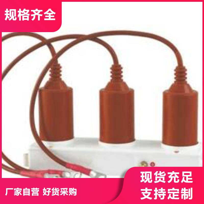 过电压保护器(组合式避雷器)HTB-O-12.7KV